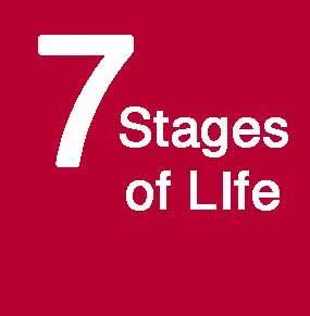 What are the seven stages of life?